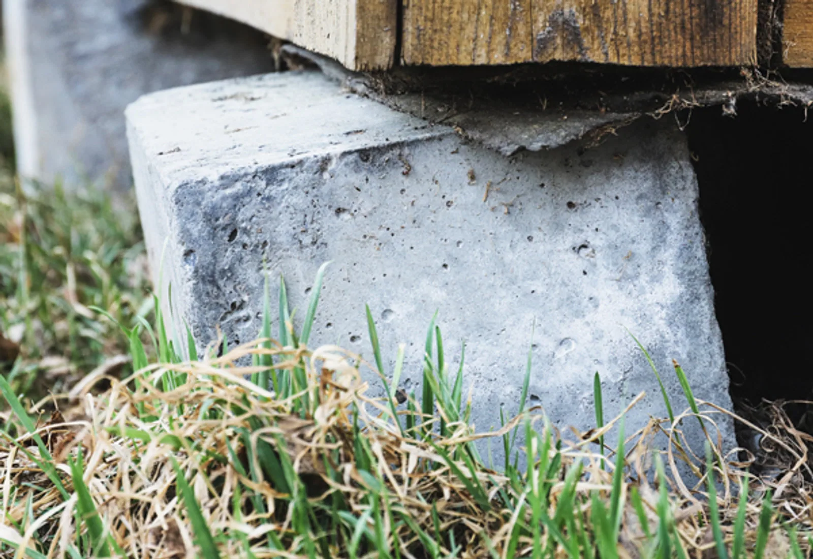 Foundation Repair