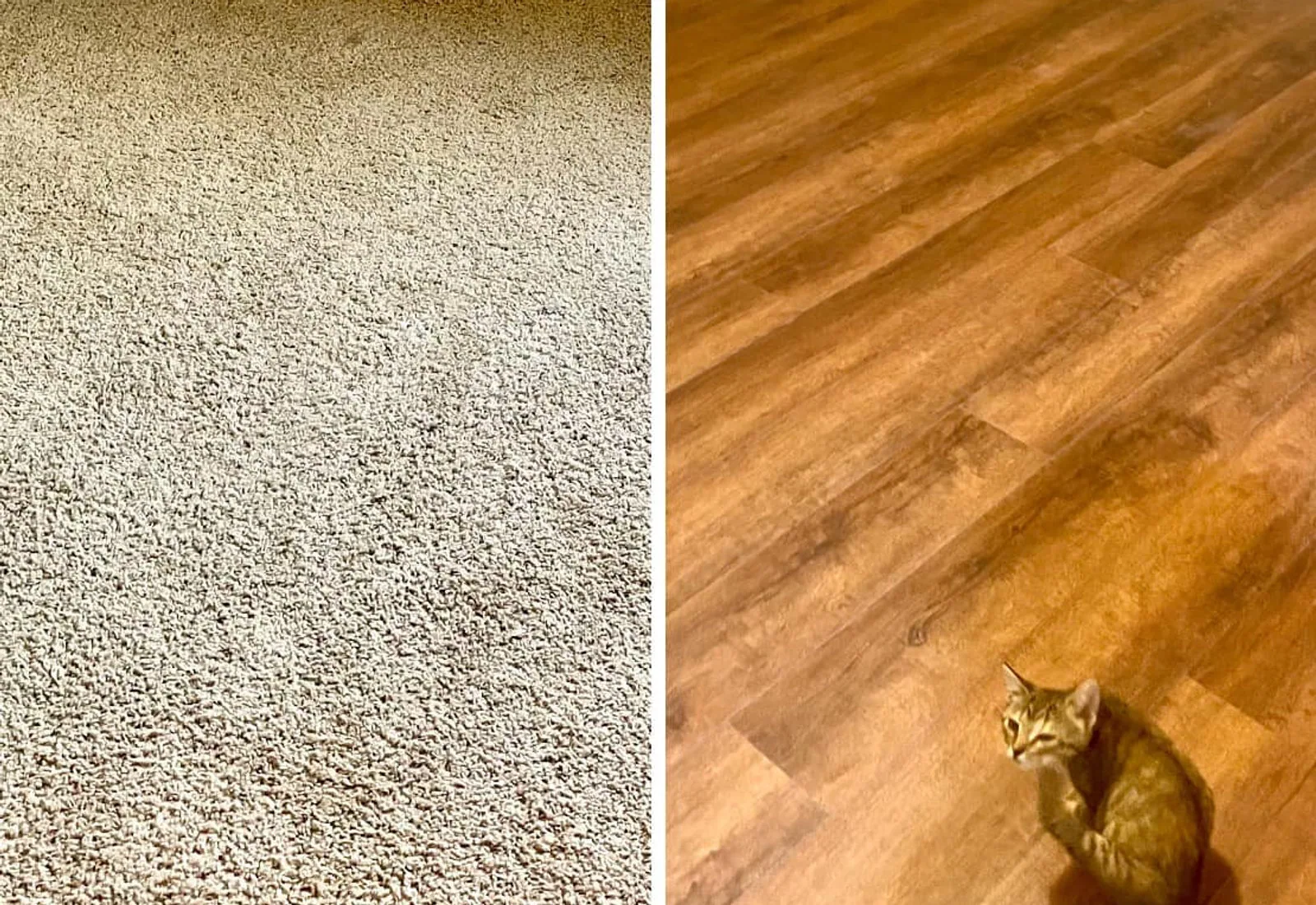 Waterproof luxury vinyl plank flooring in a bedroom